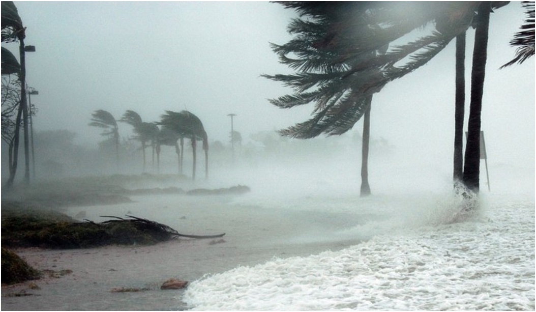 The Impact of Hurricane Milton on Florida’s Properties and How Bahia Rises Above the Storm